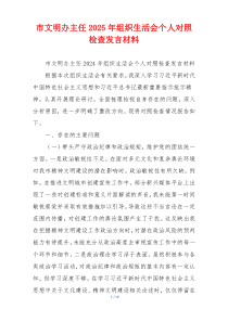 市文明办主任2025年组织生活会个人对照检查发言材料