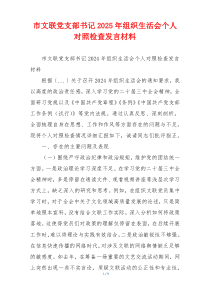 市文联党支部书记2025年组织生活会个人对照检查发言材料