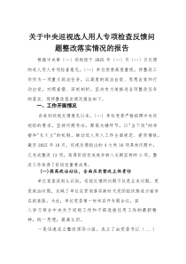 关于中央巡视选人用人专项检查反馈问题整改落实情况的报告