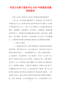 市直文化部门党组书记2025年抓基层党建述职报告