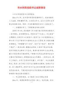 市水利局党组书记述职报告