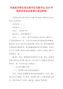 市直机关单位党支部书记与副书记2025年组织生活会会前谈心谈话材料