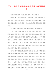 区审计局党支部书记抓基层党建工作述职报告