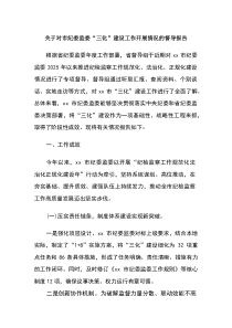 关于对市纪委监委“三化”建设工作开展情况的督导报告