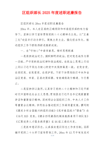 区组织部长2025年度述职述廉报告