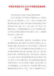 市税务局党组书记2025年抓基层党建述职报告