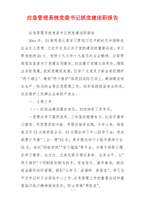 应急管理系统党委书记抓党建述职报告