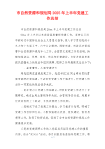 市自然资源和规划局2025年上半年党建工作总结