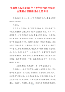 张政能县长在2025年上半年经济运行分析会暨重点项目推进会上的讲话