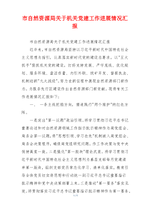 市自然资源局关于机关党建工作进展情况汇报