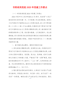 市财政局党组2025年党建工作要点