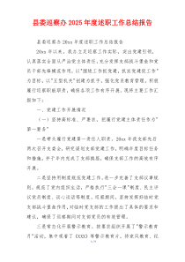 县委巡察办2025年度述职工作总结报告