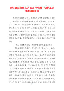 市财政局党组书记2025年党组书记抓基层党建述职报告