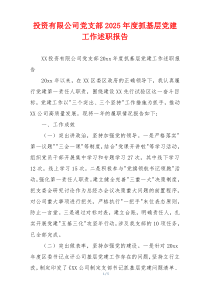 投资有限公司党支部2025年度抓基层党建工作述职报告