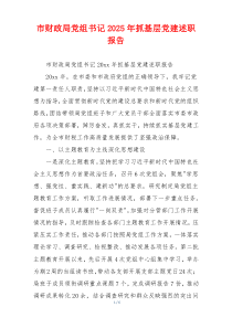 市财政局党组书记2025年抓基层党建述职报告