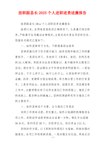 挂职副县长2025个人述职述责述廉报告