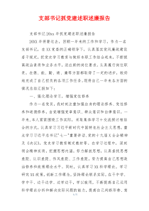 支部书记抓党建述职述廉报告