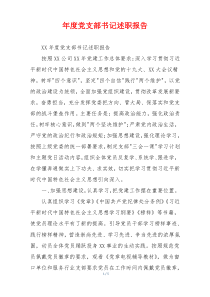 年度党支部书记述职报告