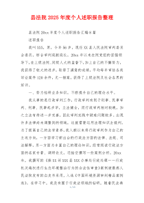 县法院2025年度个人述职报告整理