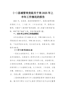 县城管局党组关于局2025年上半年工作情况的报告