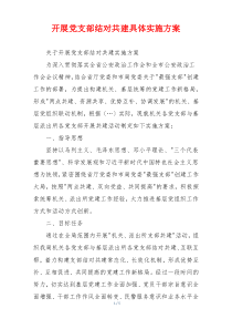 开展党支部结对共建具体实施方案