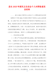 县长2025年度民主生活会个人对照检查发言材料