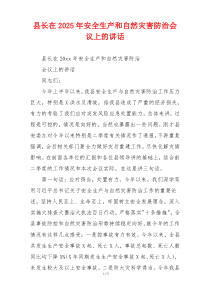 县长在2025年安全生产和自然灾害防治会议上的讲话