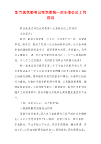新当选党委书记在党委第一次全体会议上的讲话