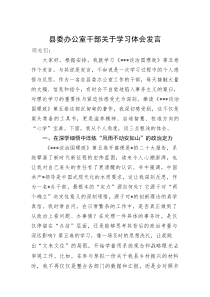 县委办公室干部关于学习体会发言