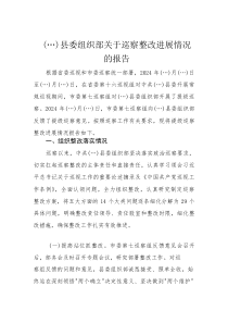 县委组织部关于巡察整改进展情况的报告3