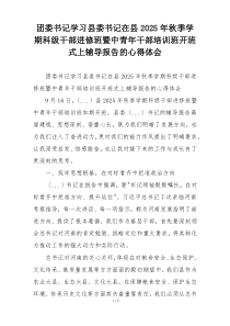 团委书记学习县委书记在县2025年秋季学期科级干部进修班暨中青年干部培训班开班式上辅导报告的心得体会