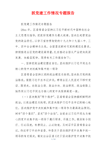 抓党建工作情况专题报告