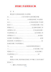 抓党建工作述职报告汇集