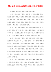 国企党员2025年组织生活会相互批评建议