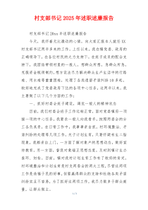 村支部书记2025年述职述廉报告