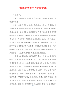 抓基层党建工作经验交流