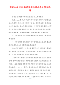 国有企业2025年的民主生活会个人发言提纲