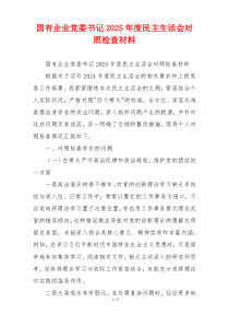 国有企业党委书记2025年度民主生活会对照检查材料