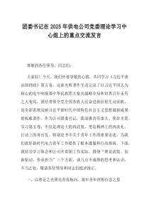 团委书记在2025年供电公司党委理论学习中心组上的重点交流发言