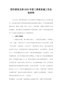 团市委党支部2025年前三季度党建工作总结材料
