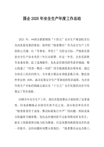 国企2025年安全生产年度工作总结