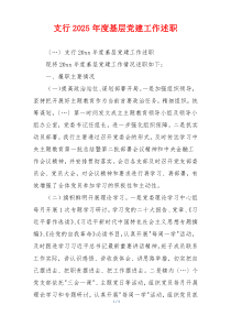 支行2025年度基层党建工作述职