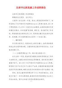 支部书记抓党建工作述职报告