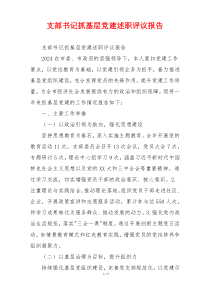 支部书记抓基层党建述职评议报告