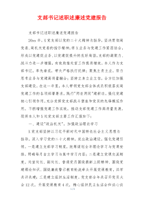 支部书记述职述廉述党建报告