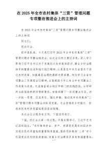 在2025年全市农村集体“三资”管理问题专项整治推进会上的主持词