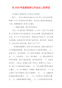 在2025年县委经济工作会议上的讲话