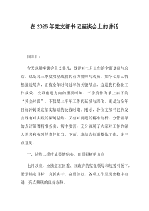 在2025年党支部书记座谈会上的讲话