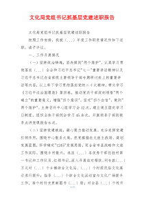文化局党组书记抓基层党建述职报告