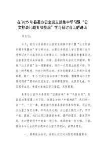 在2025年党支部集中学习暨“公文抄袭问题专项整治”学习研讨会上的讲话（县委办公室）